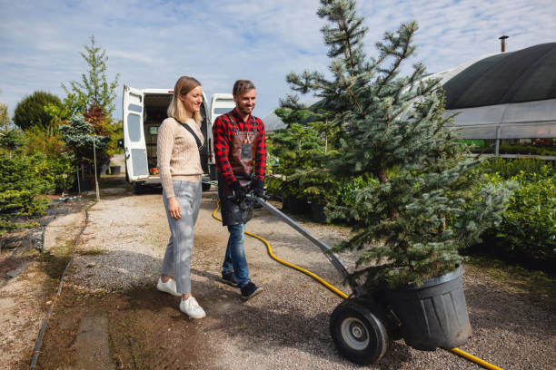 Best Stump Grinding and Removal  in USA